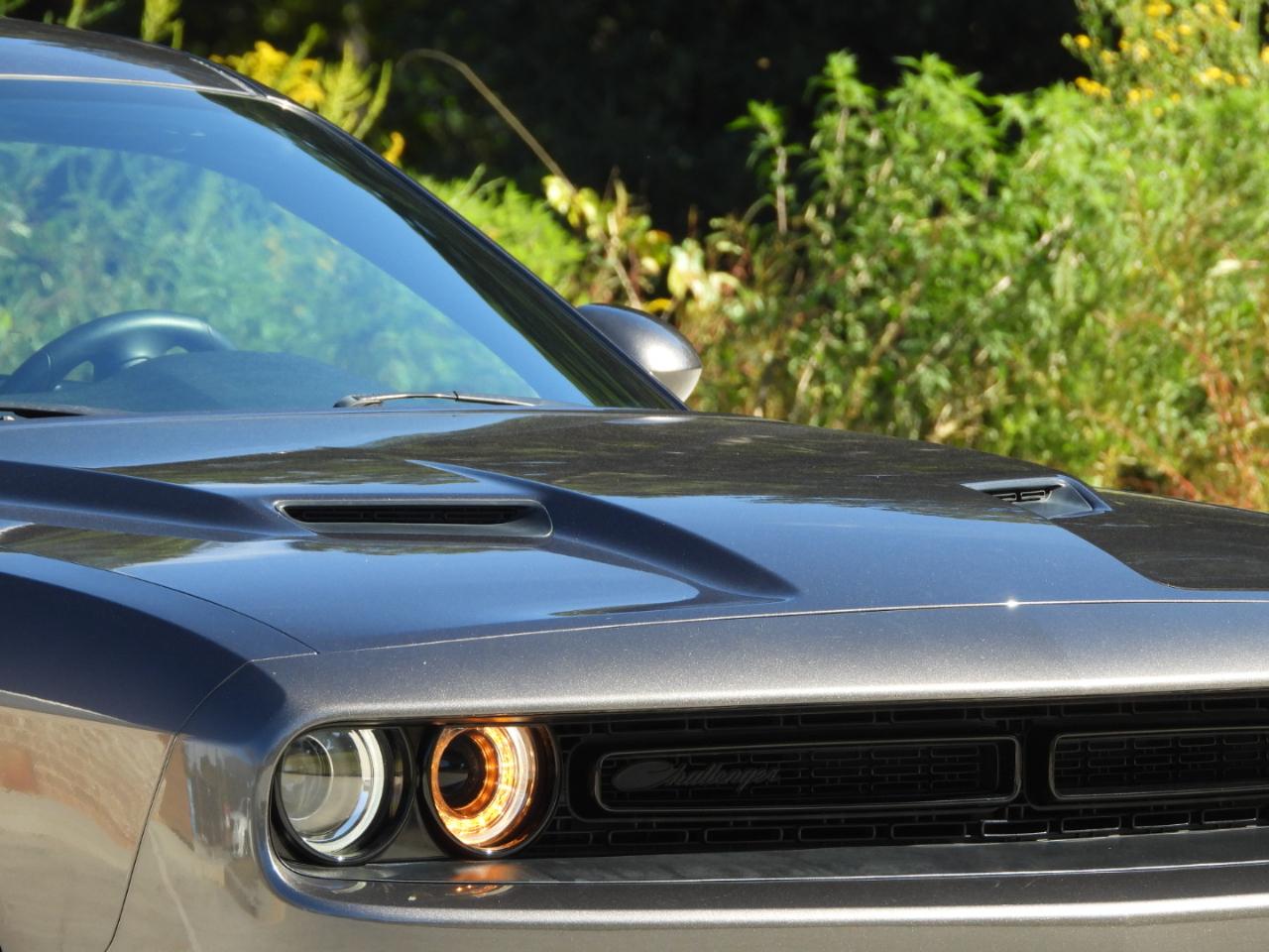 Dodge Challenger 2dr Cpe SXT 100th Anniversary Appearance Group 2020