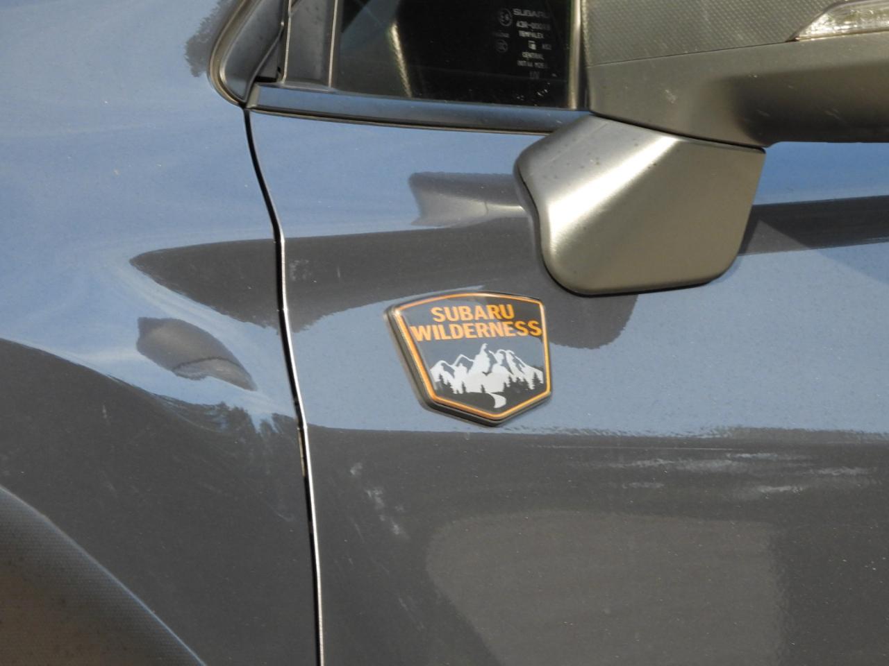 Subaru Forester Wilderness AWD 2022