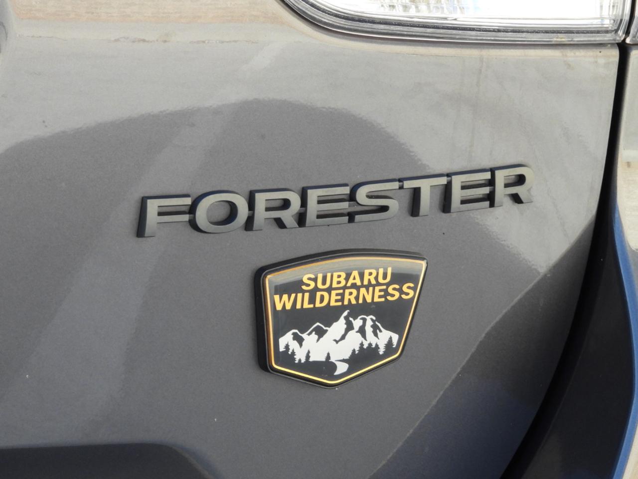 Subaru Forester Wilderness AWD 2022