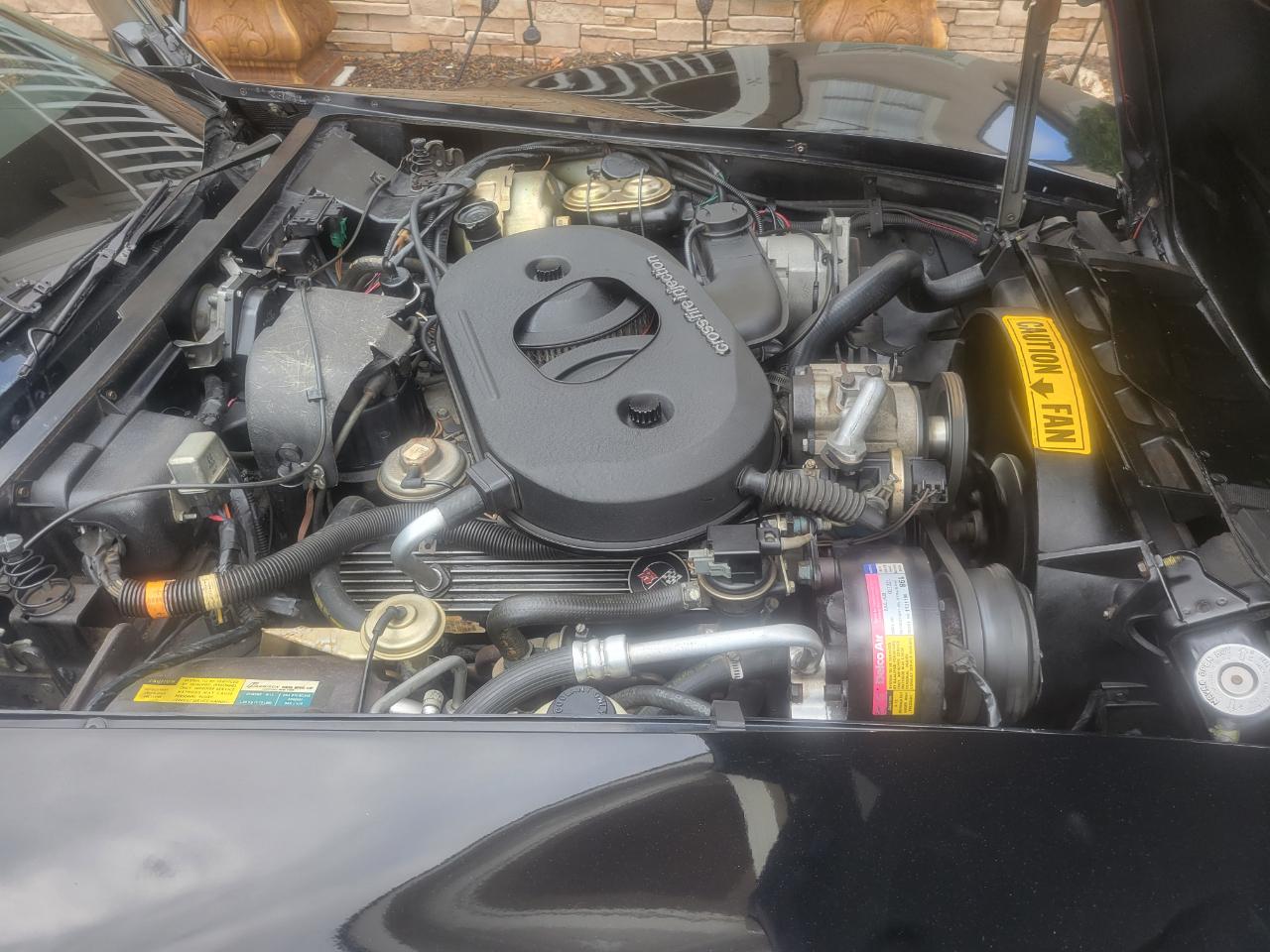 Chevrolet Corvette Coupe 1982