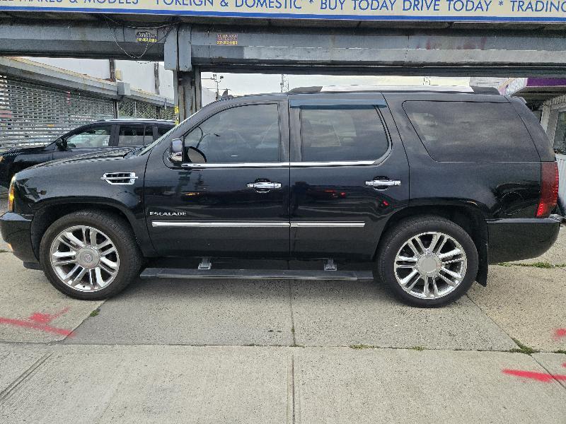 Cadillac Escalade AWD Premium 2011
