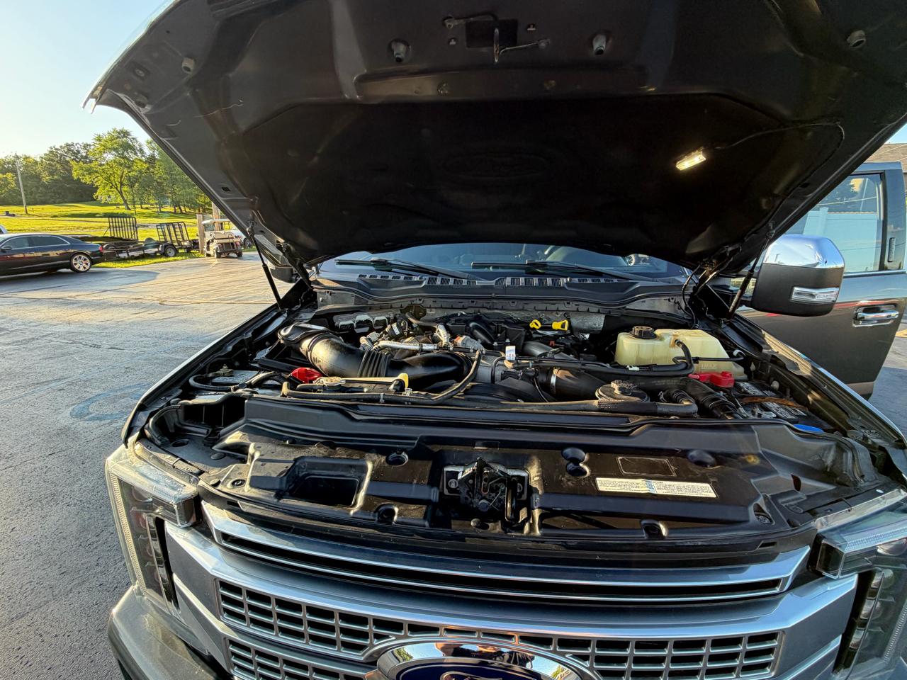 Ford Super Duty F-250 SRW 4WD Crew Cab 156" Platinum 2019