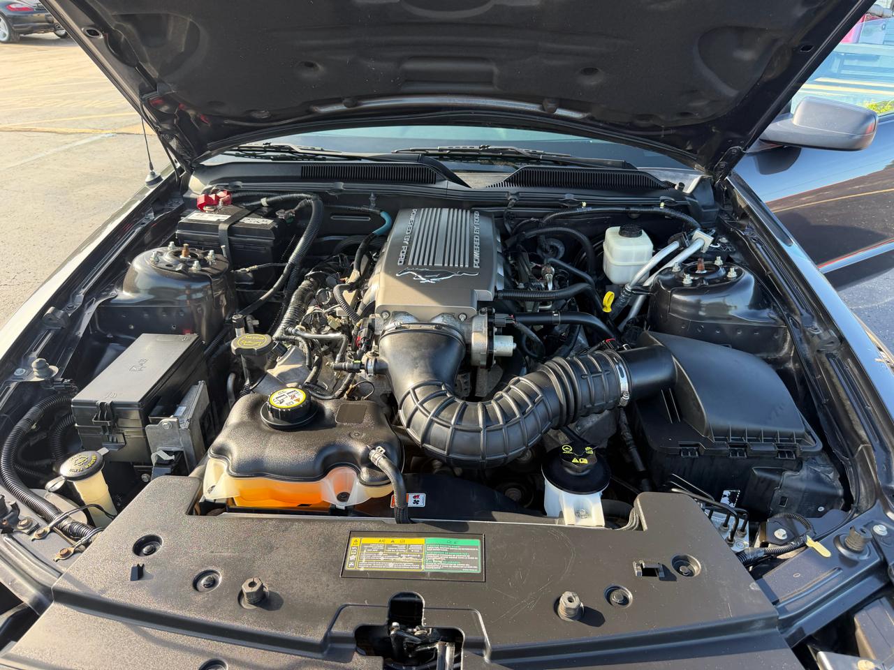 Ford Mustang 2dr Cpe GT Deluxe 2007