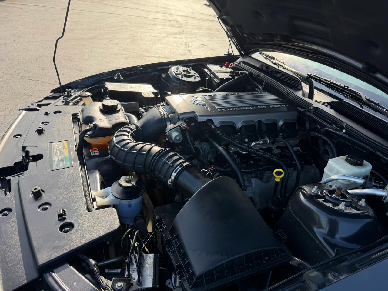 Ford Mustang 2dr Cpe GT Deluxe 2007