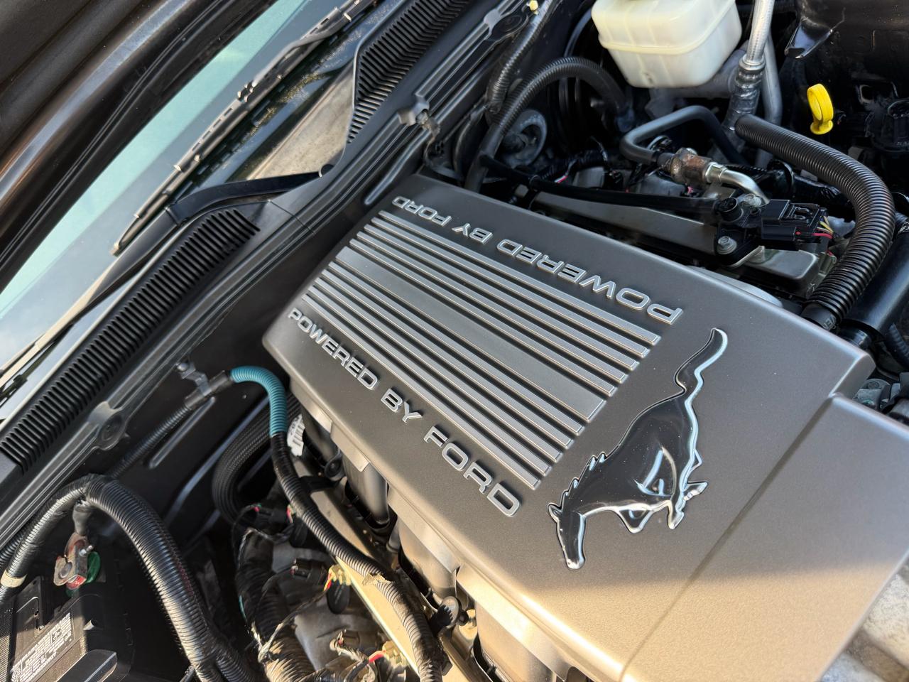 Ford Mustang 2dr Cpe GT Deluxe 2007