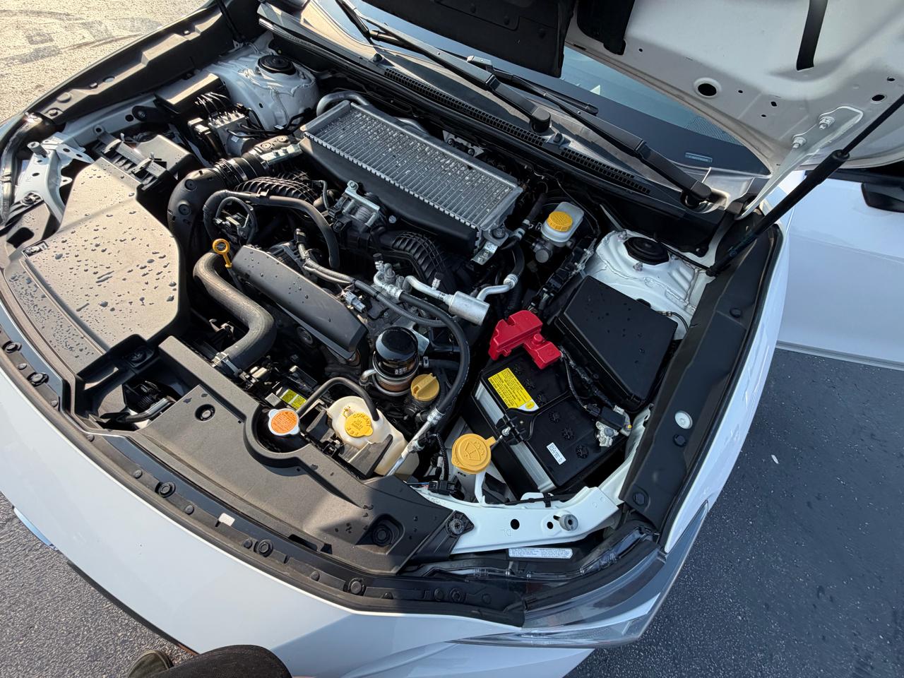 Subaru WRX Premium Manual 2023