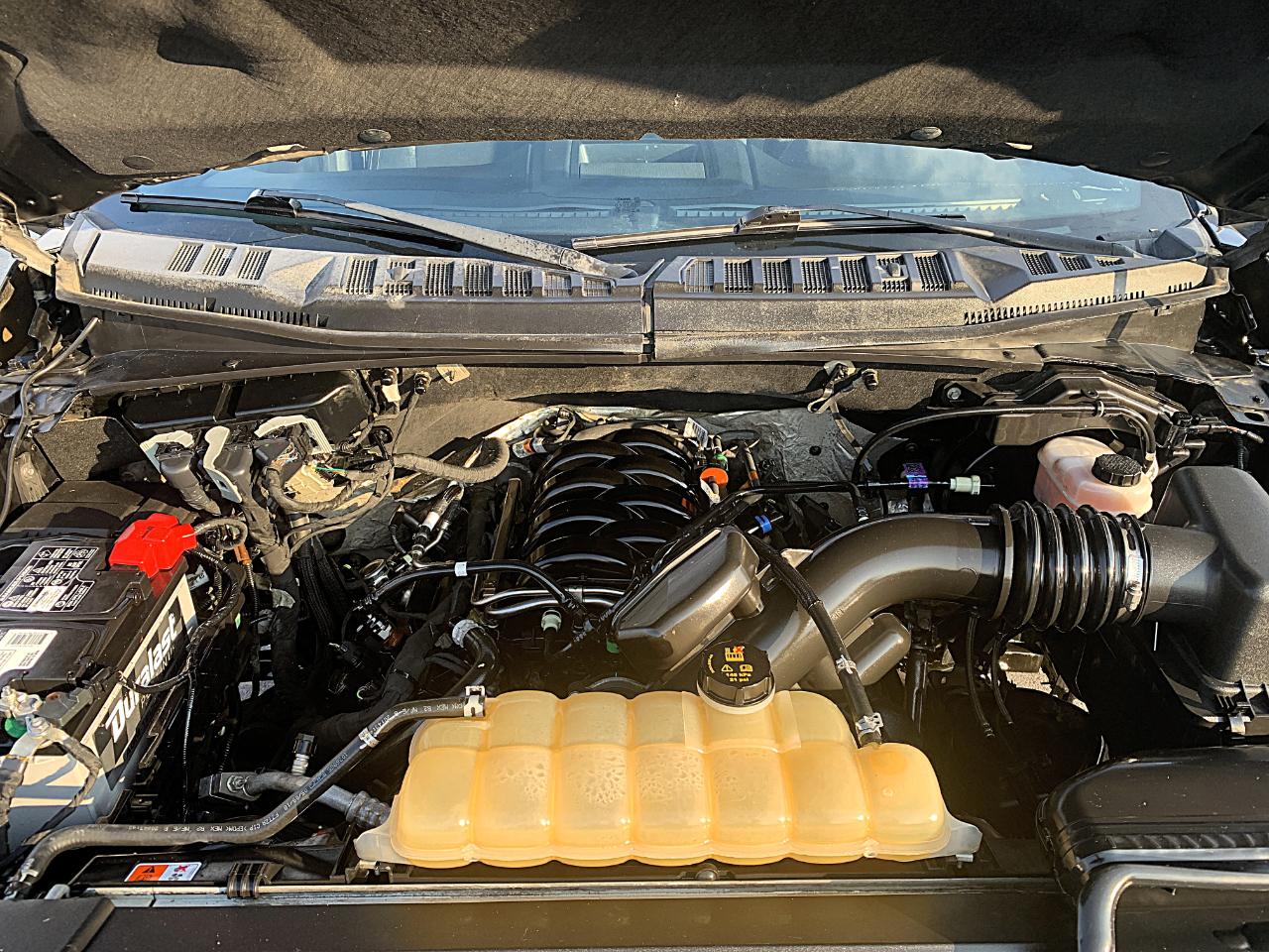 Ford F-150 XLT SuperCrew 5.5-ft. Bed 4WD 2018