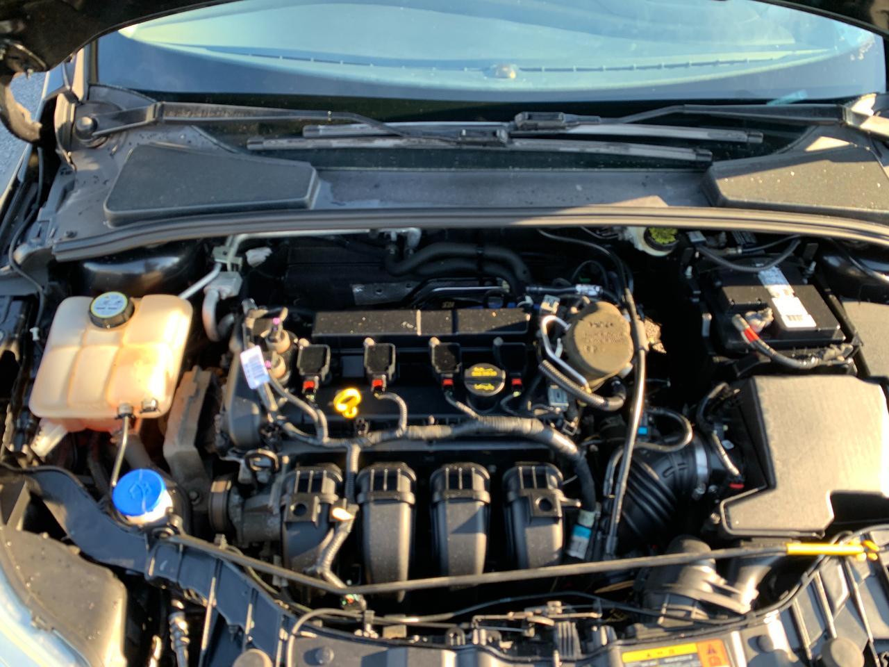Ford Focus SE Sedan 2013