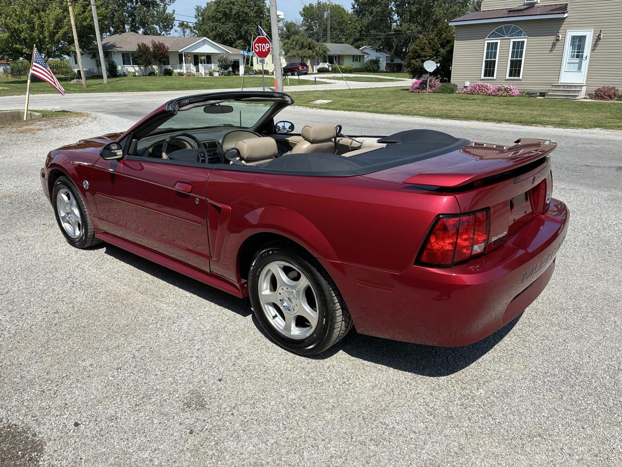 Ford Mustang Deluxe Convertible 2004