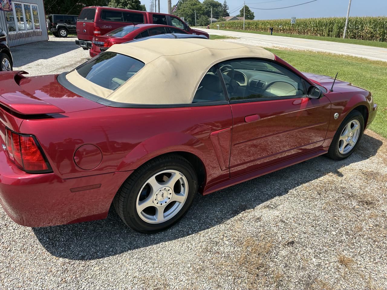 Ford Mustang Deluxe Convertible 2004