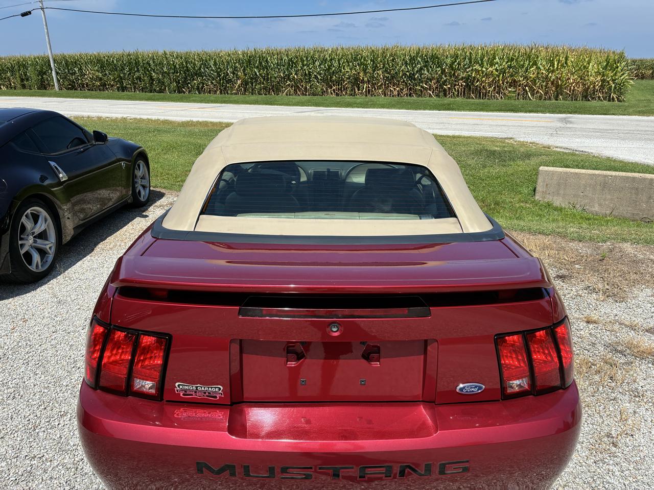 Ford Mustang Deluxe Convertible 2004