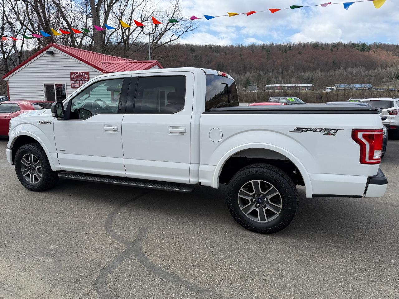 Ford F-150 4WD SuperCrew 145" XLT 2015