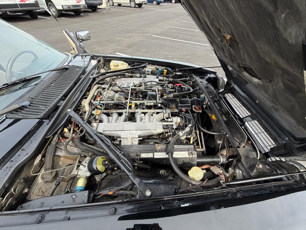 Jaguar XJS Convertible  1990