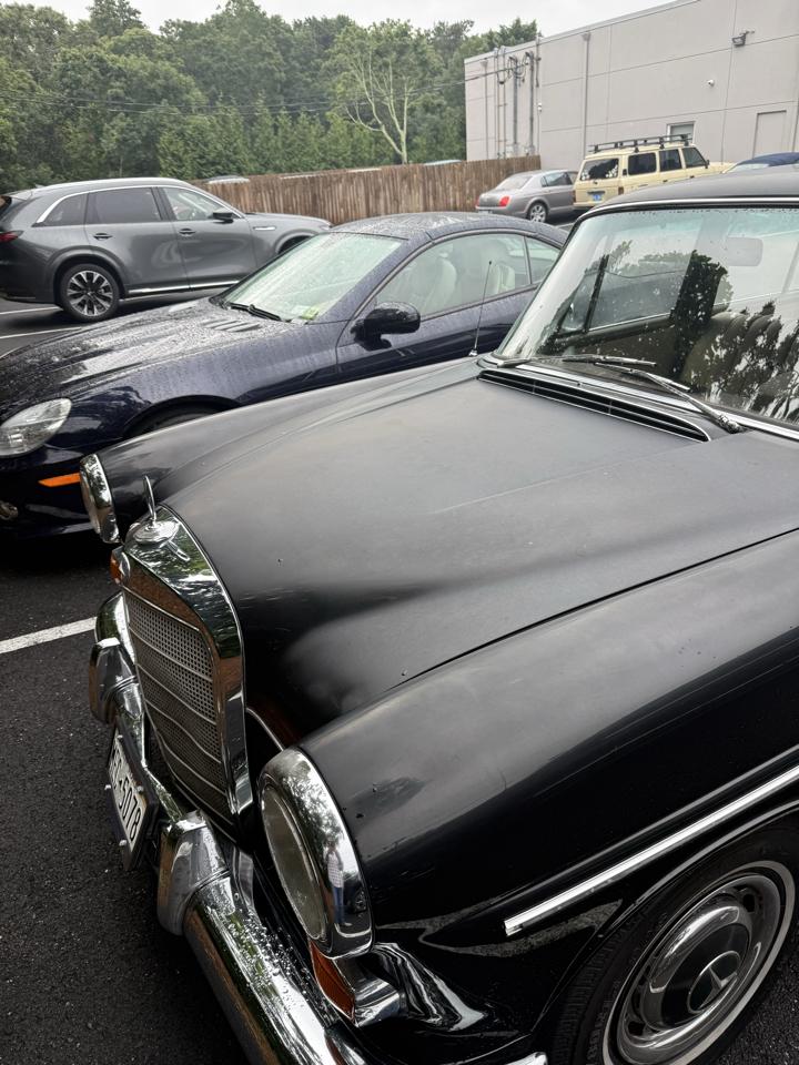 Mercedes-Benz 220  1966