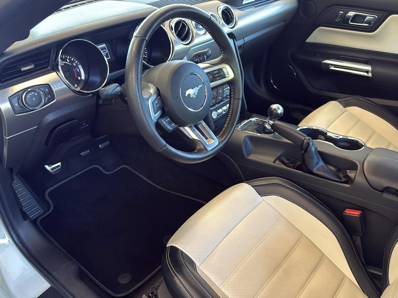Ford Mustang 50th Anniversary 2015