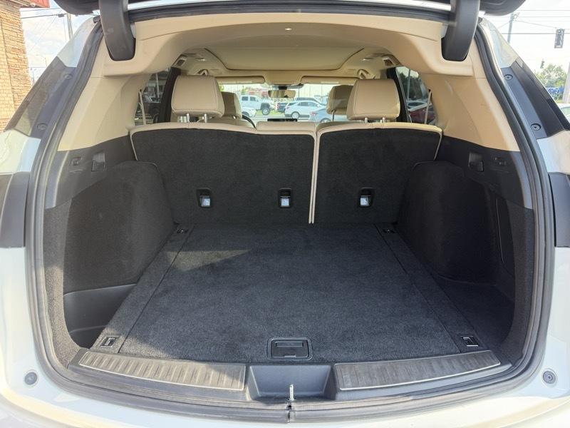 Acura RDX SH-AWD w/Advance Package 2019