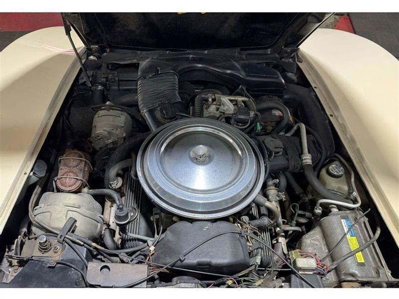 Chevrolet Corvette  1981 Chevrolet Corvette  1981