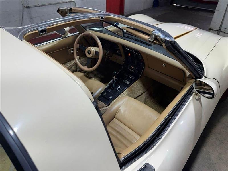 Chevrolet Corvette  1981 Chevrolet Corvette  1981