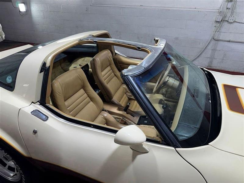 Chevrolet Corvette  1981 Chevrolet Corvette  1981