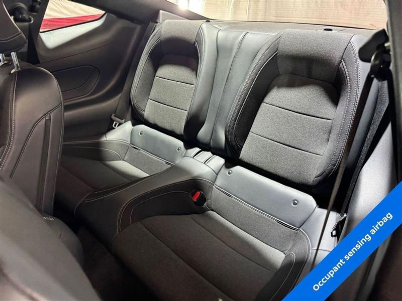Ford Mustang EcoBoost Fastback 2024 Ford Mustang EcoBoost Fastback 2024