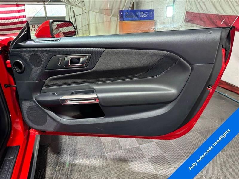 Ford Mustang EcoBoost Fastback 2024 Ford Mustang EcoBoost Fastback 2024