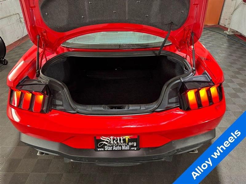 Ford Mustang EcoBoost Fastback 2024 Ford Mustang EcoBoost Fastback 2024