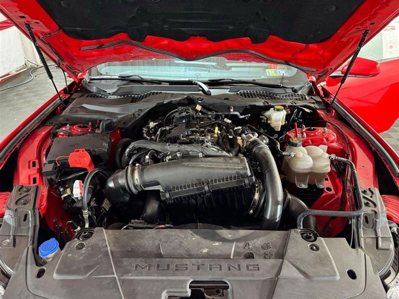 Ford Mustang EcoBoost Fastback 2024 Ford Mustang EcoBoost Fastback 2024