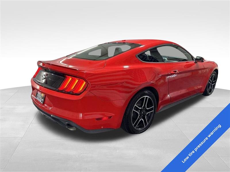 Ford Mustang EcoBoost Fastback 2020 Ford Mustang EcoBoost Fastback 2020