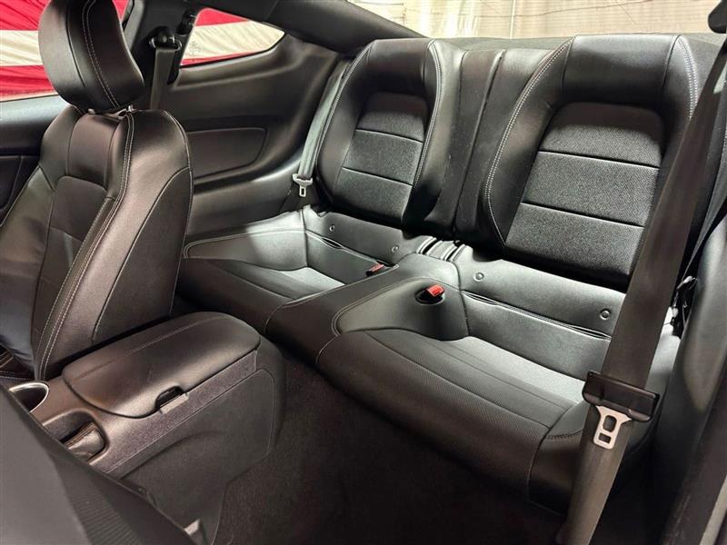 Ford Mustang EcoBoost Fastback 2020 Ford Mustang EcoBoost Fastback 2020
