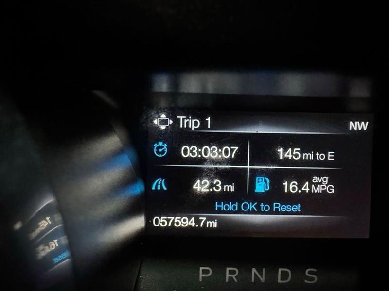 Ford Mustang EcoBoost Fastback 2020 Ford Mustang EcoBoost Fastback 2020