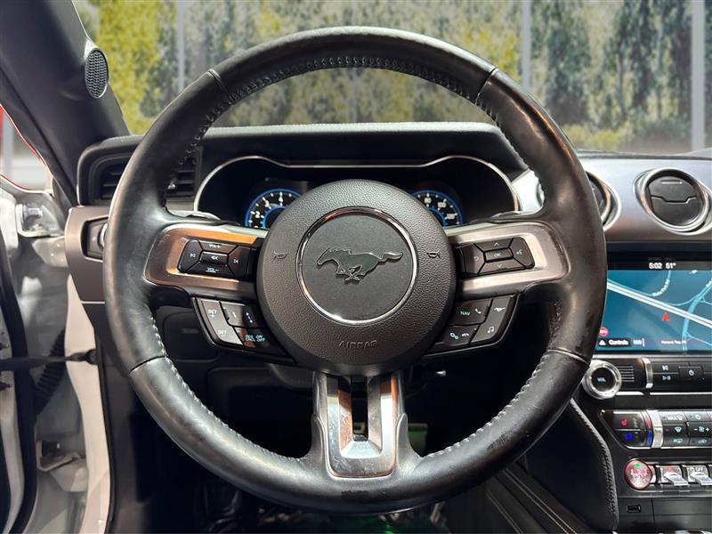 Ford Mustang EcoBoost Premium Convertible 2019