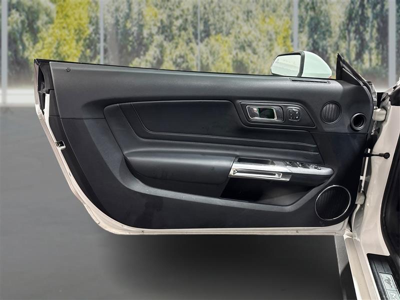 Ford Mustang EcoBoost Premium Convertible 2019