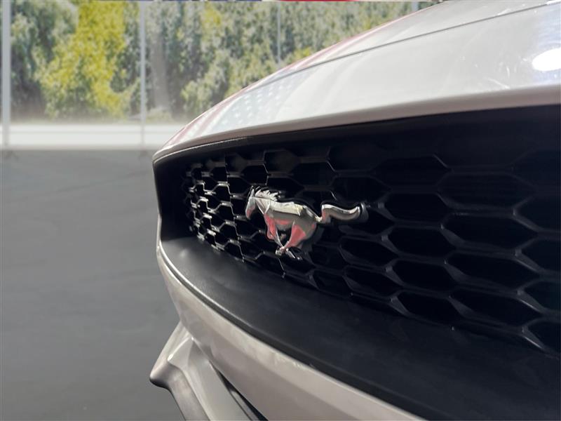 Ford Mustang EcoBoost Premium Convertible 2019