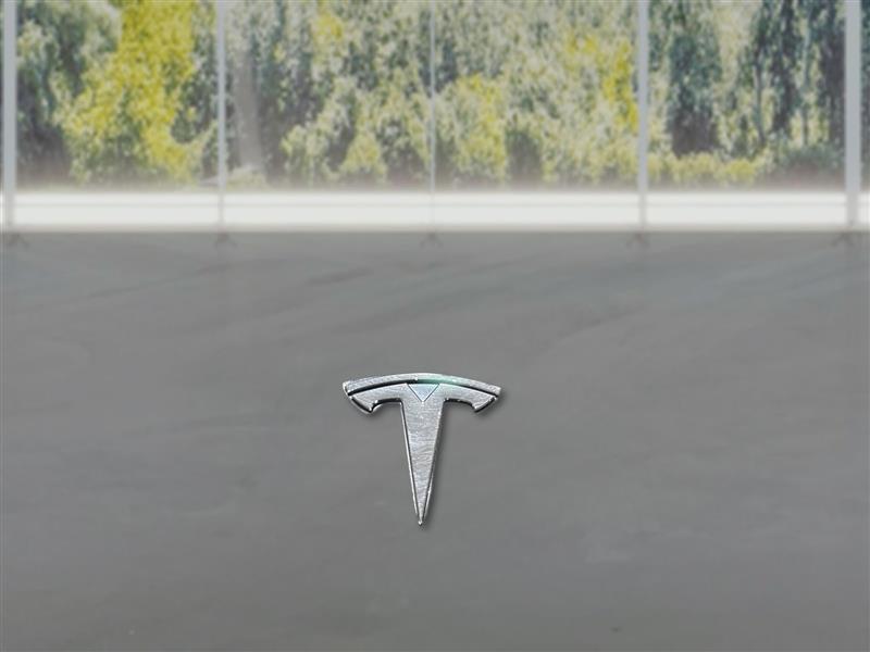 Tesla Model Y Performance 2021