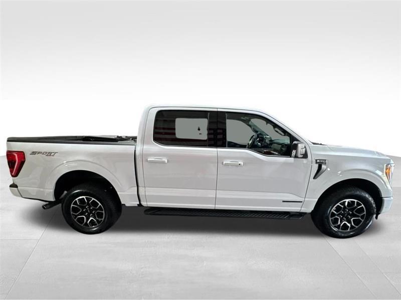Ford F-150 XLT SuperCrew 5.5-ft. Bed 4WD 2023