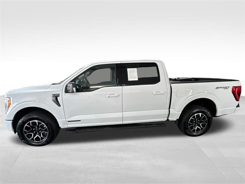 Ford F-150 XLT SuperCrew 5.5-ft. Bed 4WD 2023