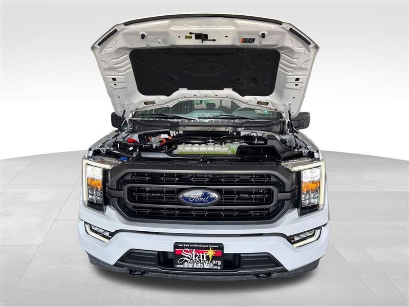 Ford F-150 XLT SuperCrew 5.5-ft. Bed 4WD 2023