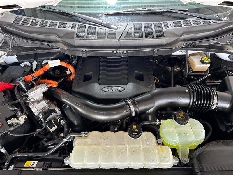 Ford F-150 XLT SuperCrew 5.5-ft. Bed 4WD 2023