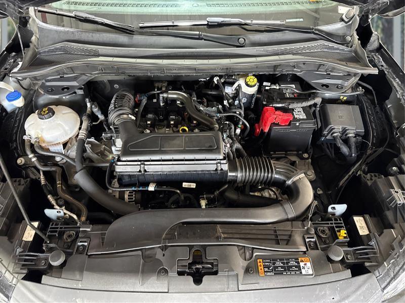 Ford Escape Active 2024