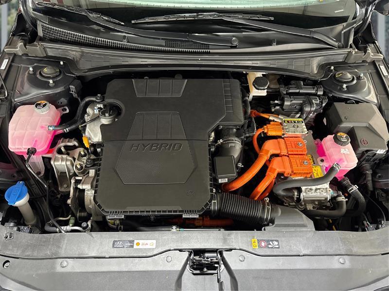 Hyundai Elantra Hybrid Blue 2025
