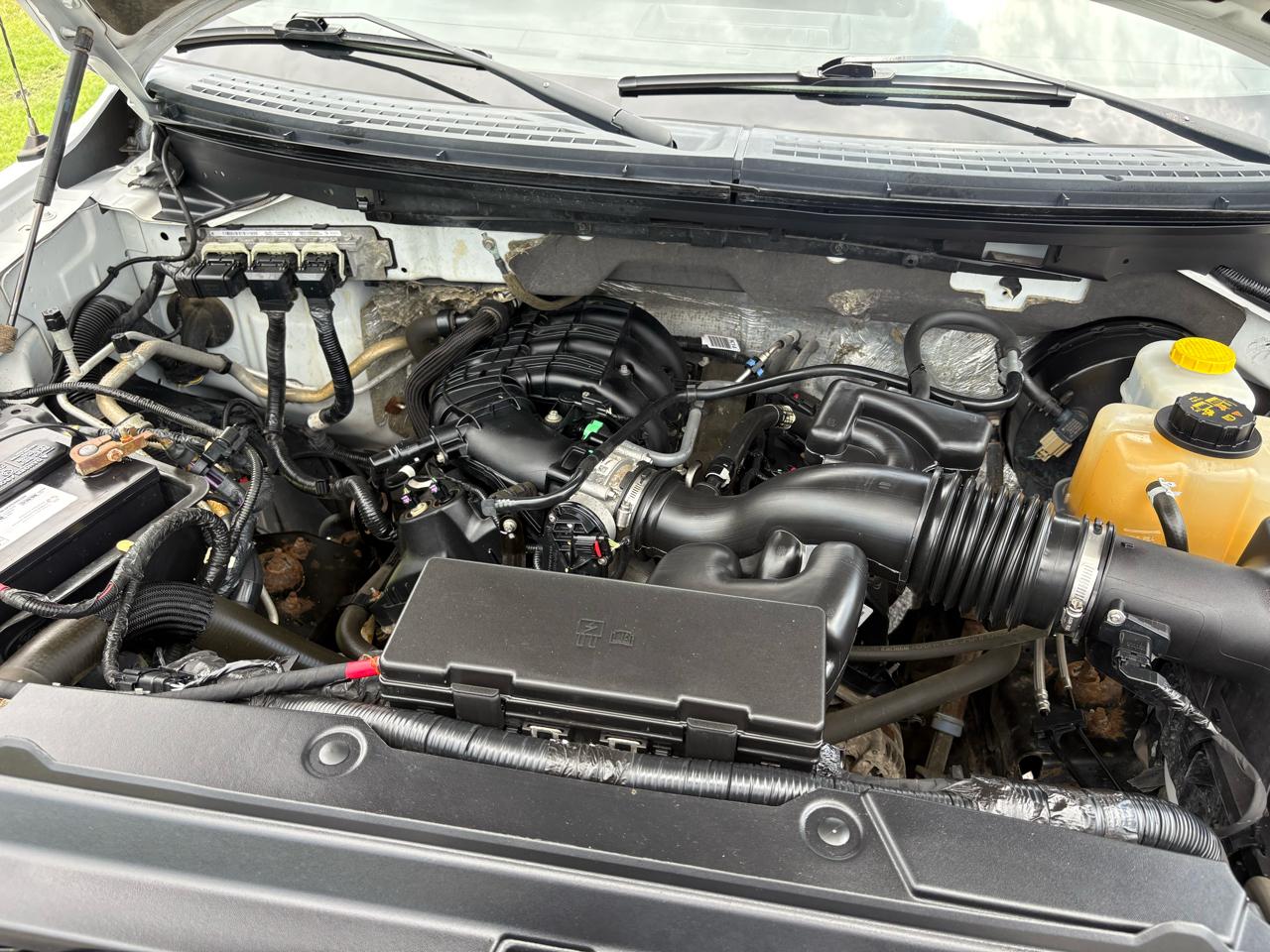 Ford F-150 2WD Reg Cab 126" XL 2014