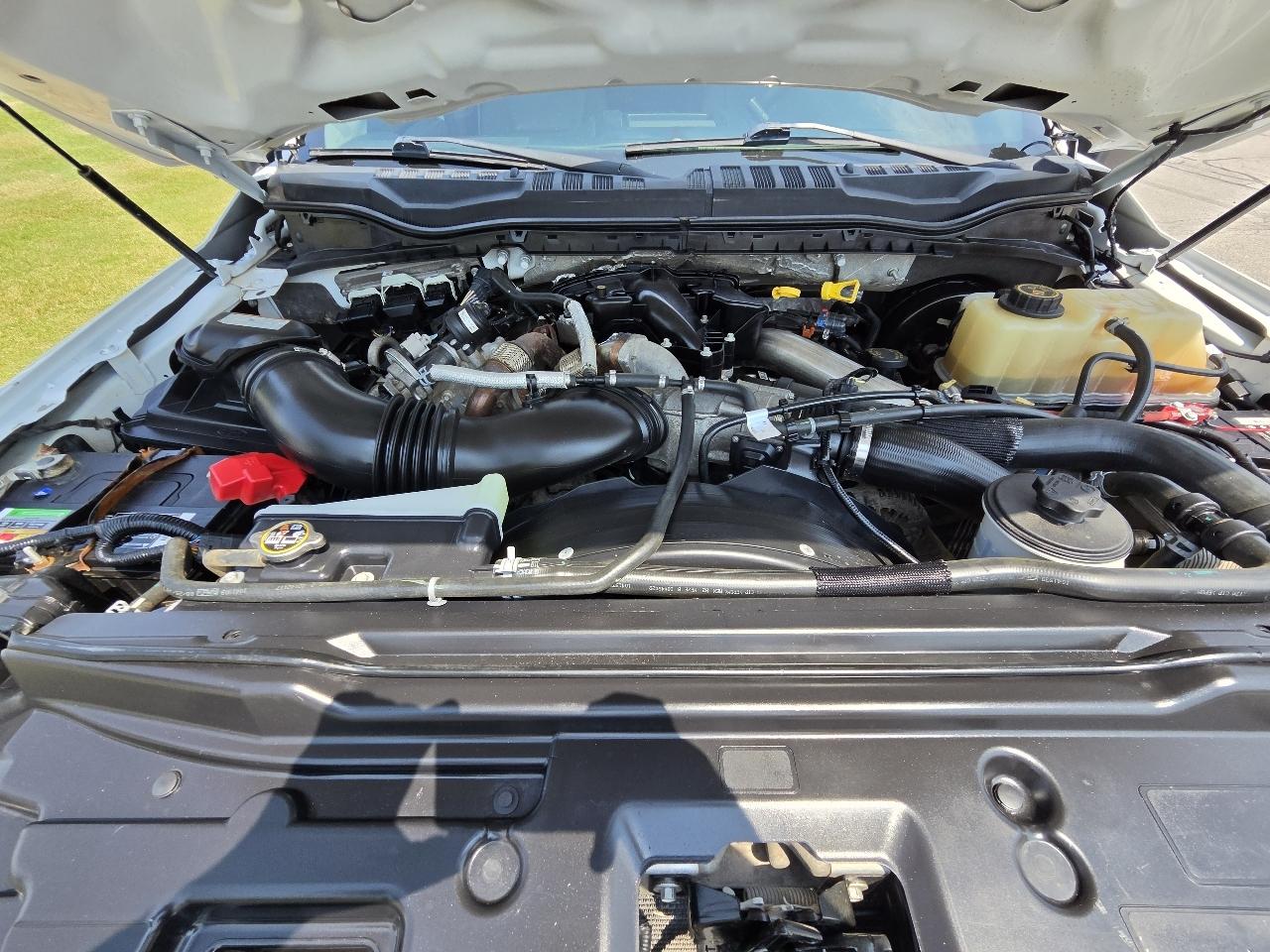 Ford Super Duty F-250 SRW XL 4WD Crew Cab 8' Box 2019