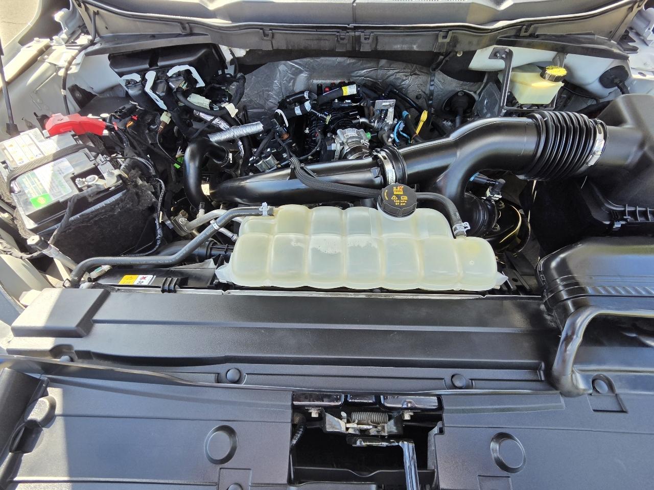 Ford F-150 XLT 4WD SuperCrew 5.5' Box 2021