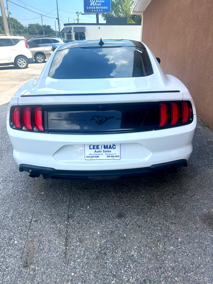 Ford Mustang EcoBoost Fastback 2021 Ford Mustang EcoBoost Fastback 2021