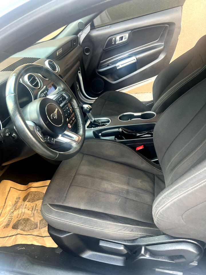 Ford Mustang EcoBoost Fastback 2021 Ford Mustang EcoBoost Fastback 2021