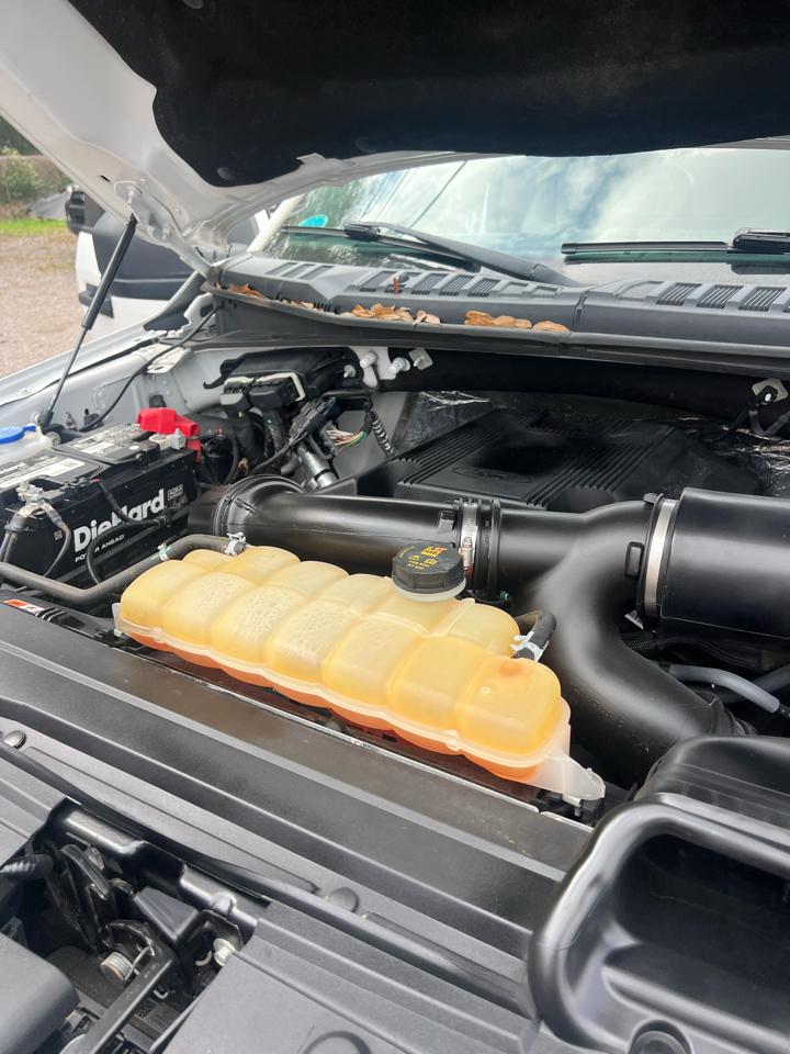 Ford F-150 4WD SuperCrew 139" XL 2017