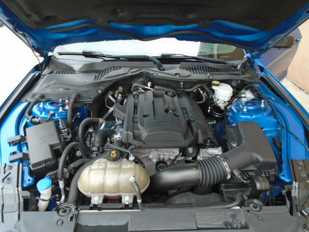 Ford Mustang EcoBoost Fastback 2020