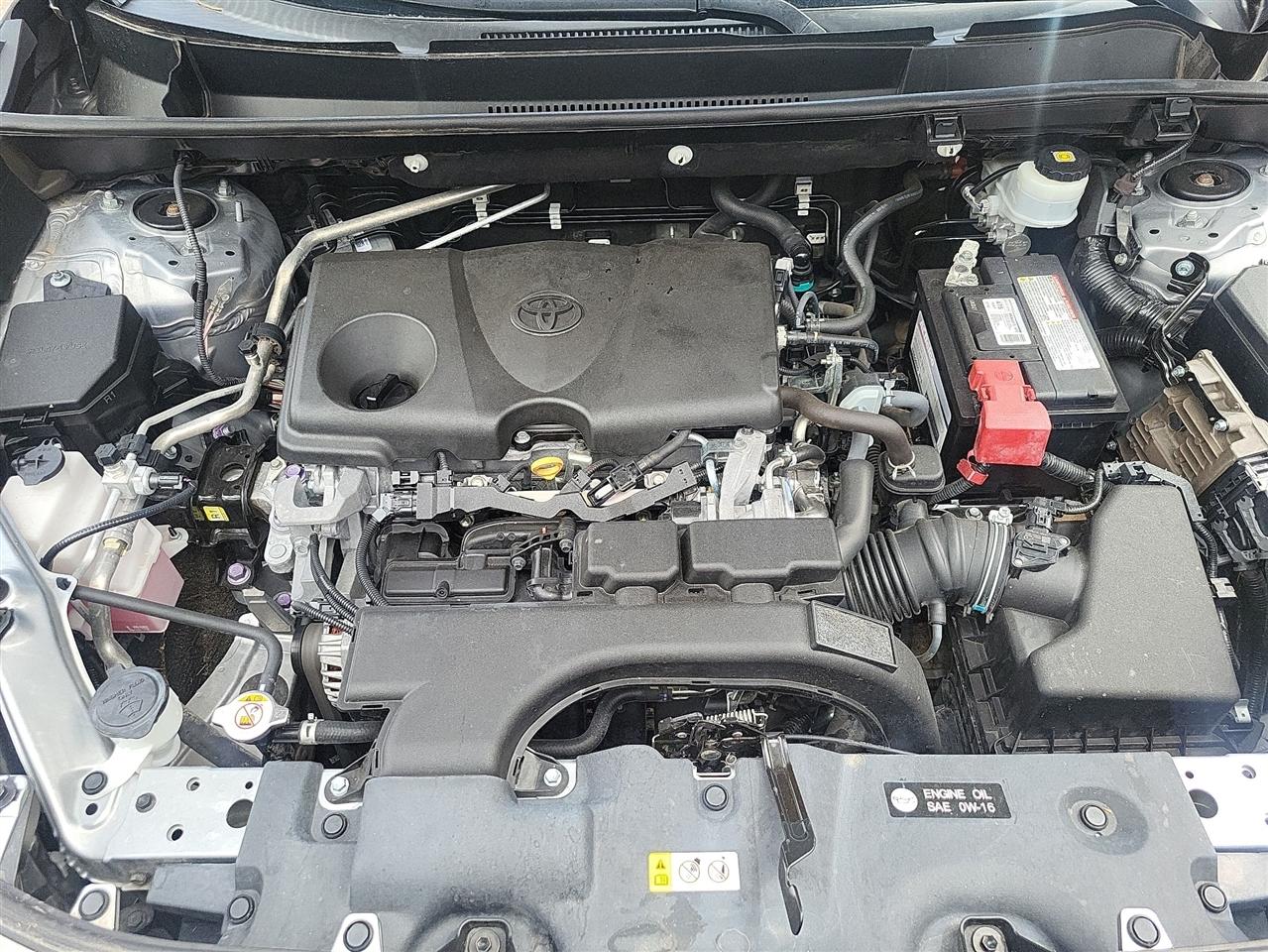 Toyota RAV4 LE 2019