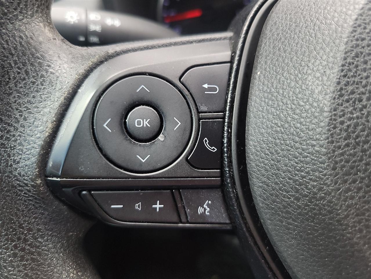 Toyota RAV4 LE 2019