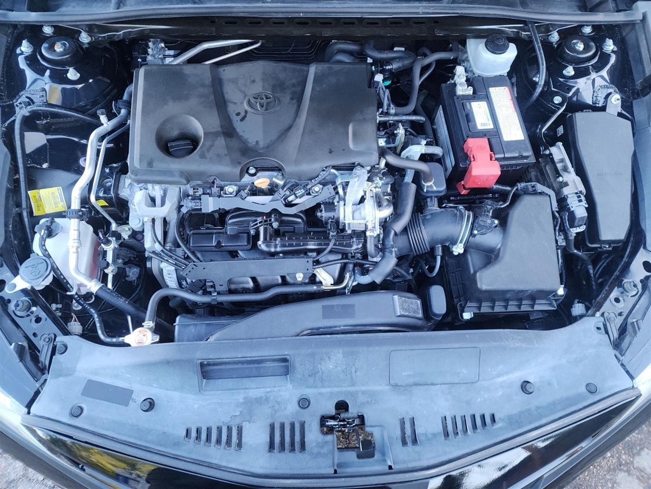 Toyota Camry XLE 2019